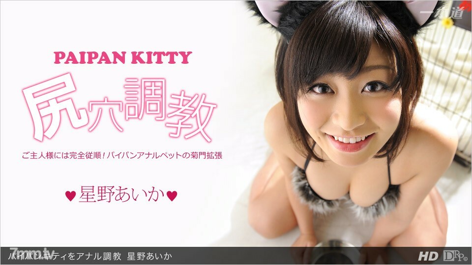 013113_523 肛门训练白板小猫